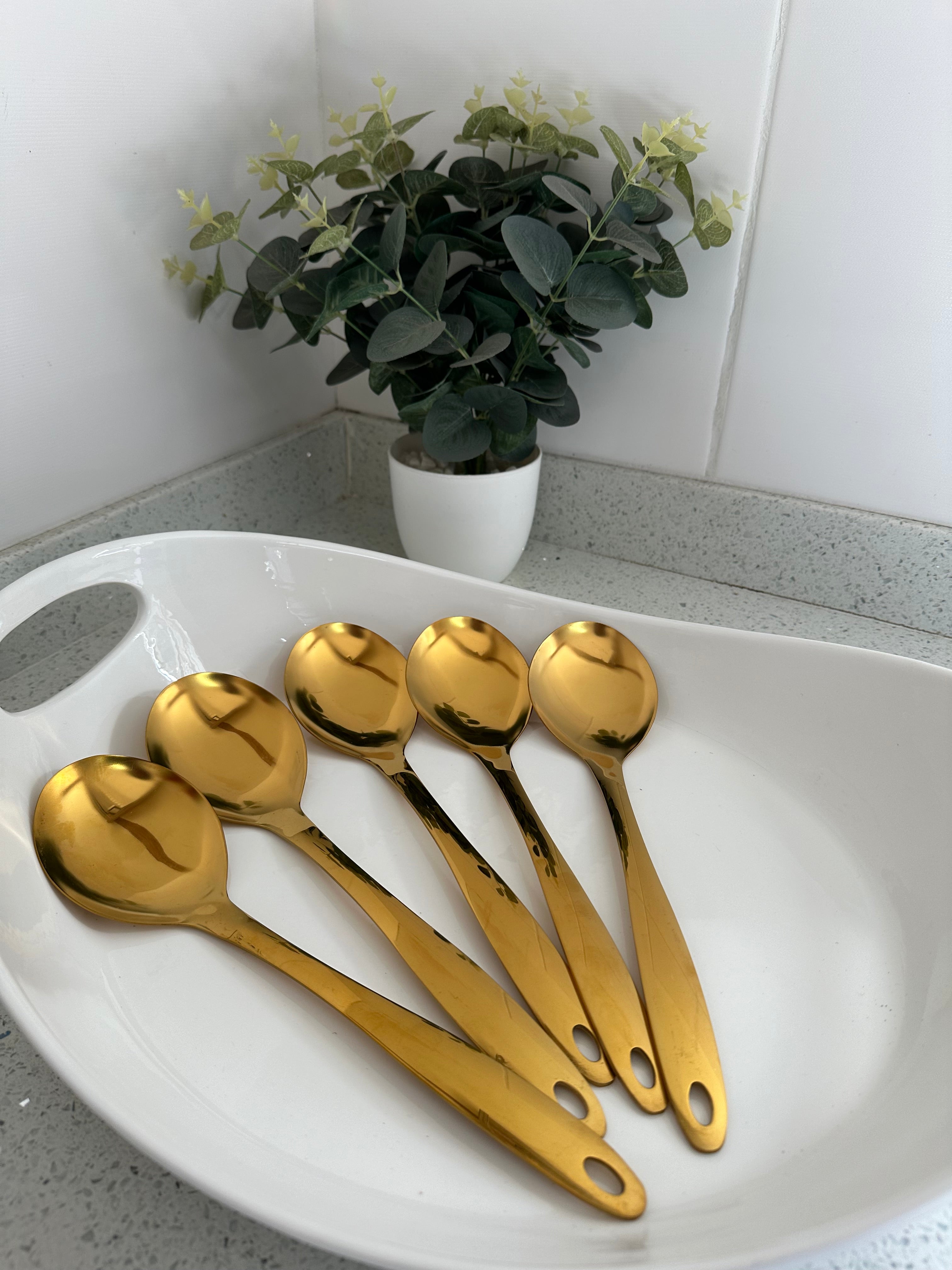 X5 Round shape serving spoons