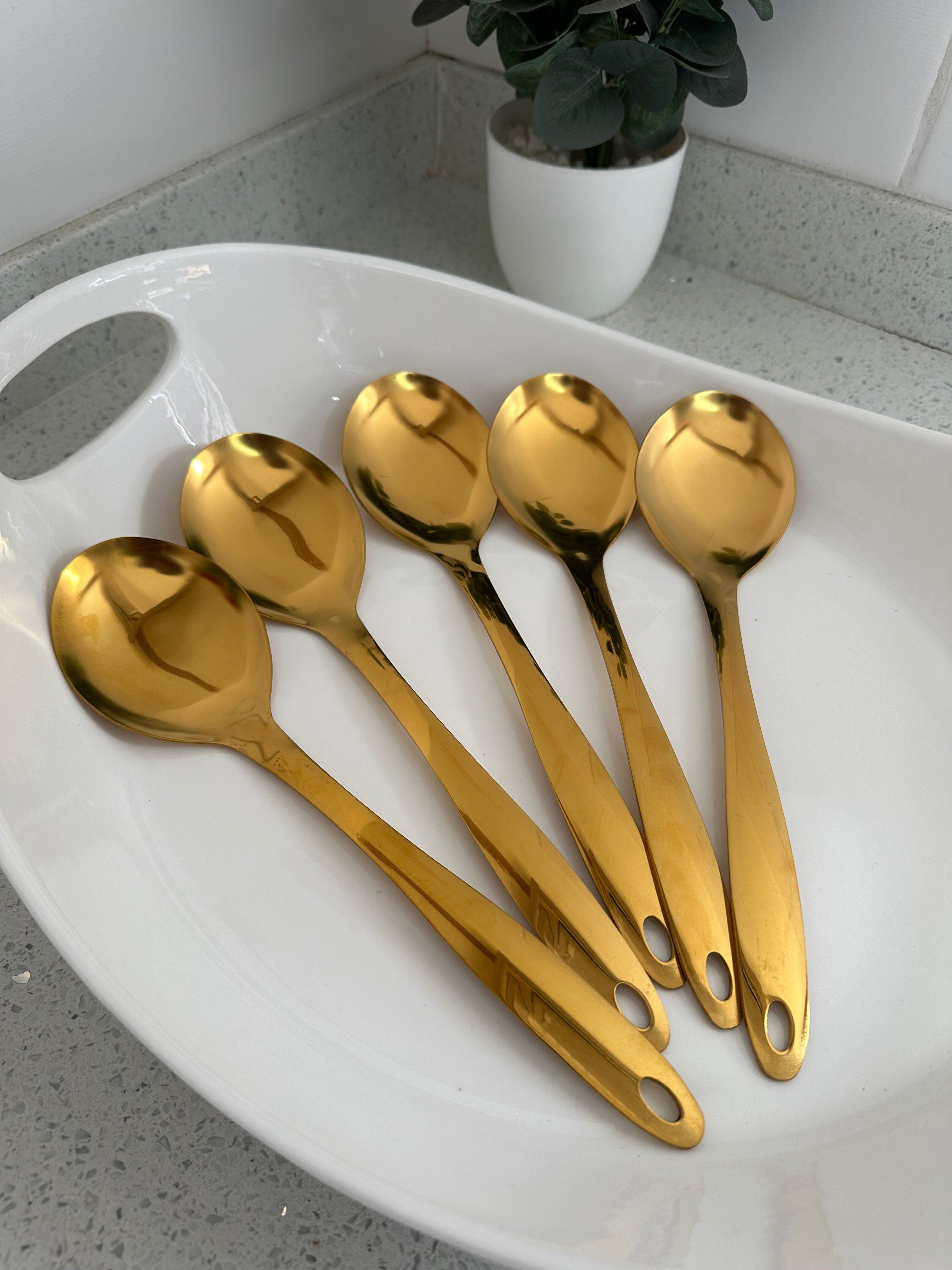 X5 Round shape serving spoons