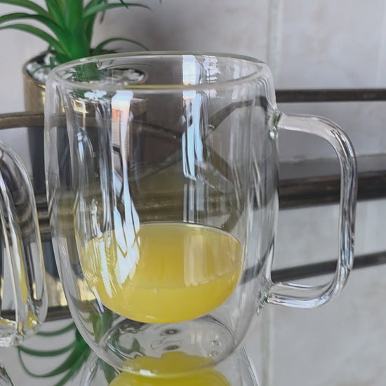 2-Piece Double Wall Glass Mug Set