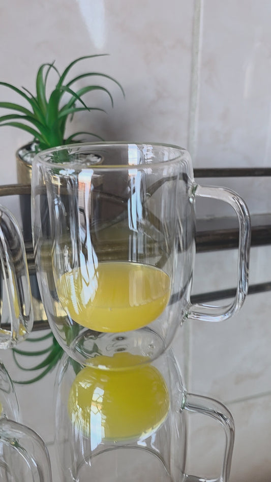 2-Piece Double Wall Glass Mug Set